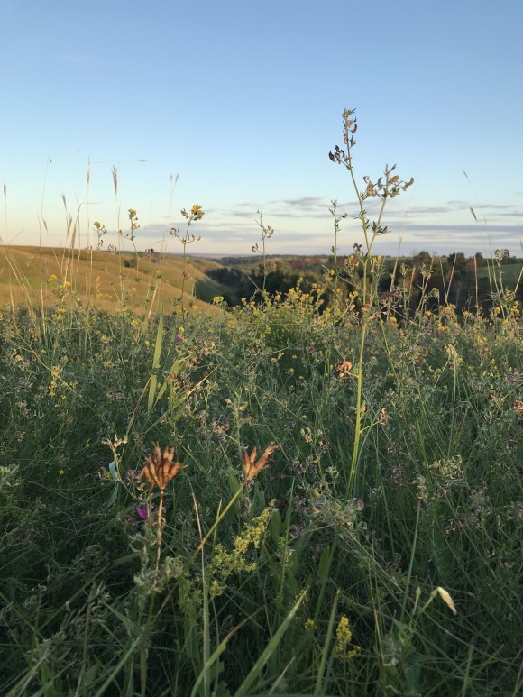 4F025A02-E092-4089-B566-7BB6F24A578D