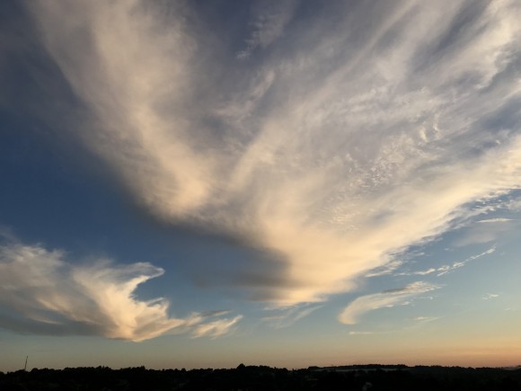 511F32B0-81F3-40E6-A486-4CAE611BDB09