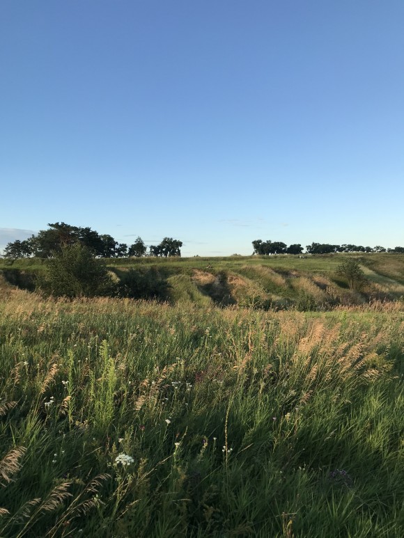 5A76F89C-DCAE-41FC-9B9B-06A279A0CD5E