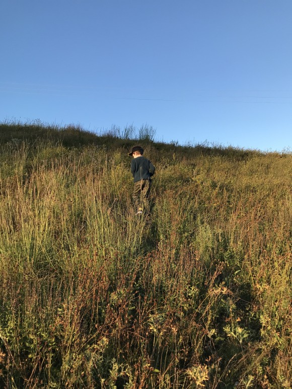 77F3EC5A-4FDC-45CF-AEE4-0336A96118C7