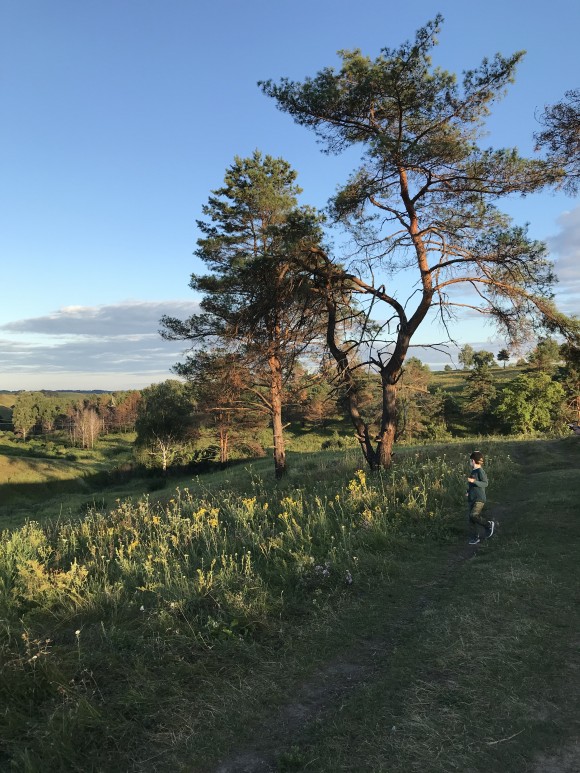 B8A6600E-8397-4C24-948F-9A5FC7AD8A6E