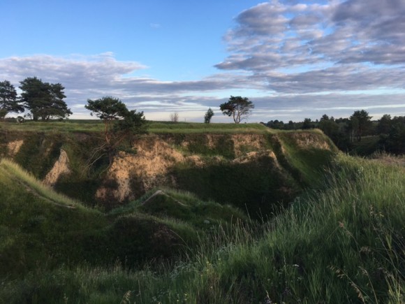 FDAEB818-9447-46A1-A145-6B93D030B0E2