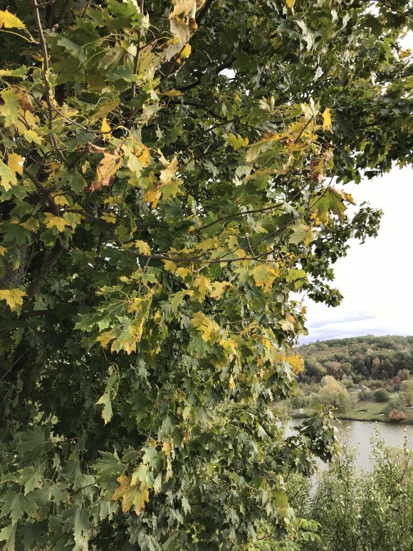 4A55F531-27F2-475A-96A9-C17C02012DA0