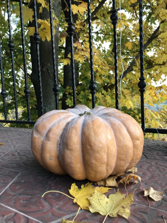 4BF07739-2EFD-4644-A820-D2573BFAD820