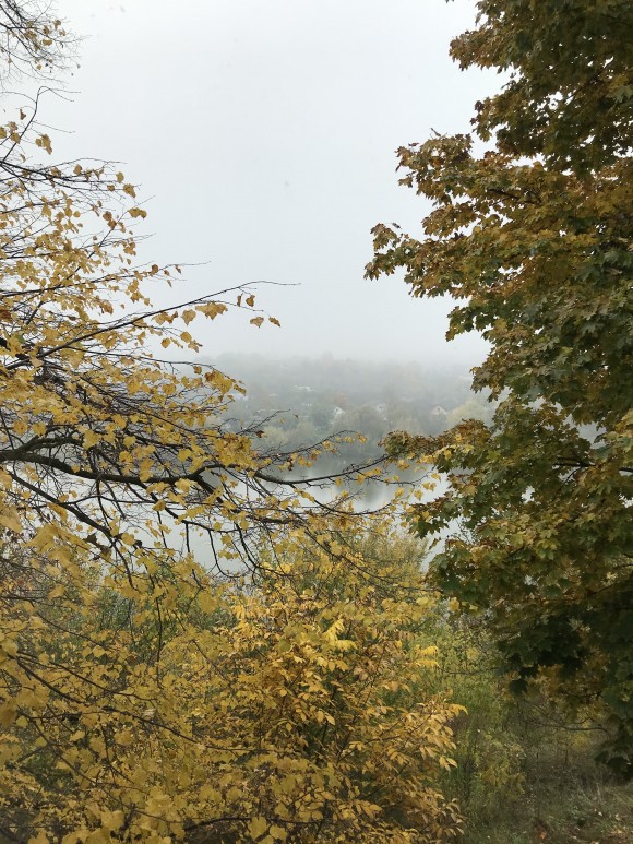 6DA359C0-FC1D-417B-AEBF-EB95B6A9A1E3