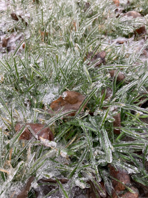 0CFBC0A5-5FCB-4AC0-8E7B-804C90A7F9F0