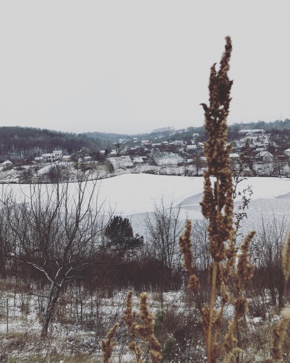 36B54C06-45A7-4E89-990F-59E4A74CE1BC