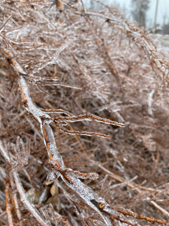 587BC686-8E4E-4015-A83E-DC87B472B9AA