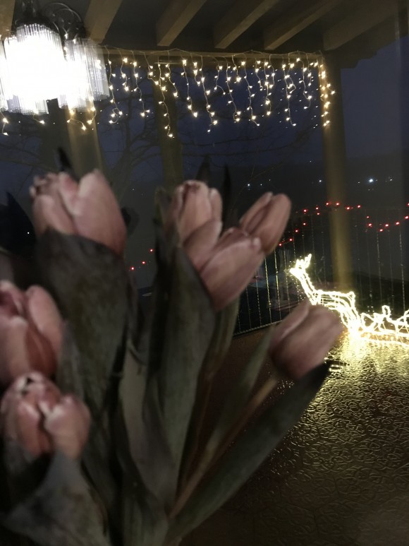 64B2006A-1CEE-491D-B997-8044D02F26C2