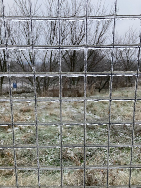 FA1E0D79-37F1-4771-91E4-2F77B72B6961