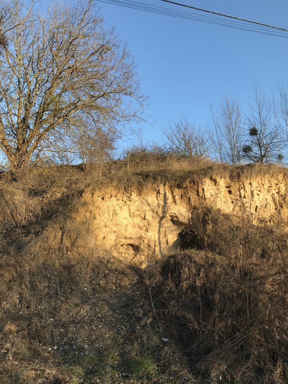 08C68FE1-E6A6-493C-96DA-AE79308D36E9