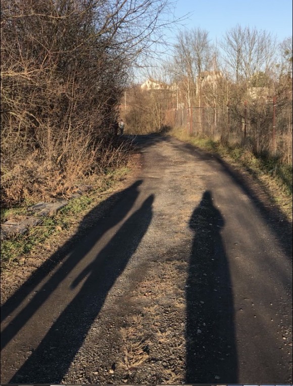 0F066F3F-961F-4495-BBD9-C7DD7F3A0B13