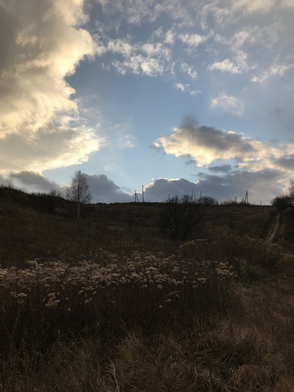 290C2CB6-537A-41AC-B702-25D7C8C401B6