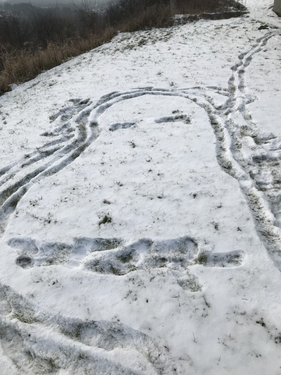 3B37096C-8448-4D03-AFC5-5E1BEFC99D8C