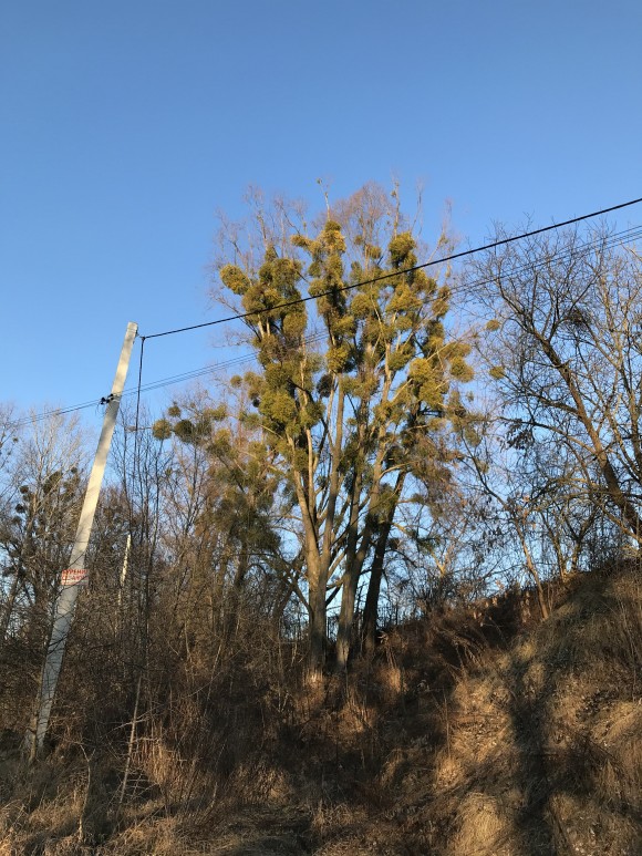 579CB7F6-F2FA-4740-BD62-B1516D1E21A3