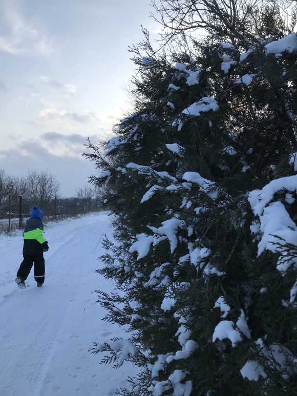 59D7A9F5-F7B6-46E2-A0E5-04BC7CEBFC12