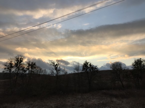 9A8DC3D6-D3DF-4796-847C-B06957A01A90