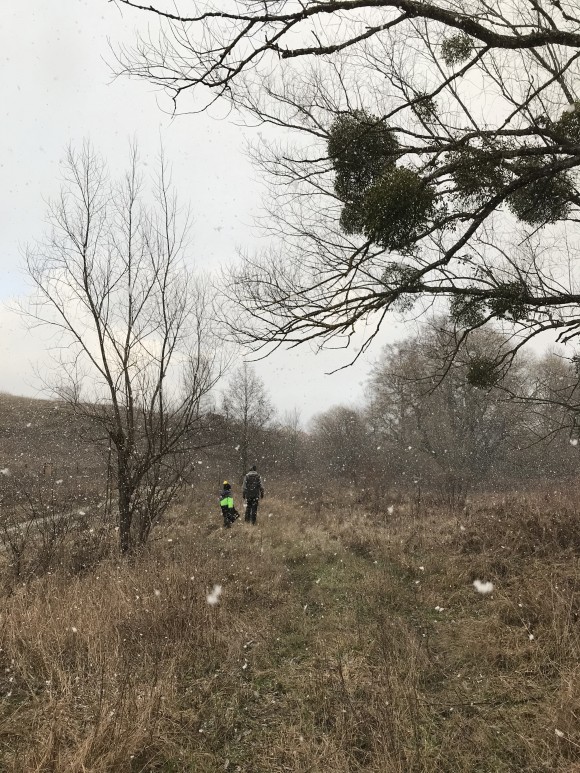 A9BB2634-861A-4AFC-87B8-17848AF2A704