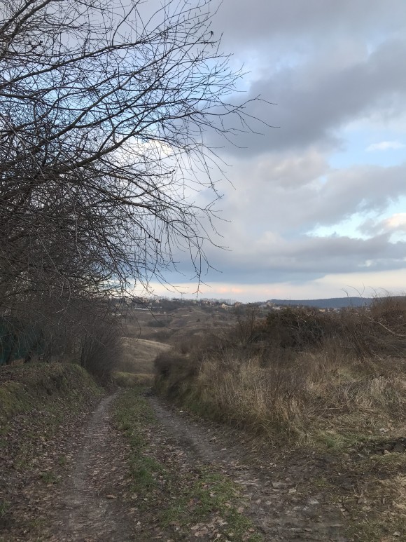 D7B26B3C-99F6-4DB0-896C-8621C626A7B7