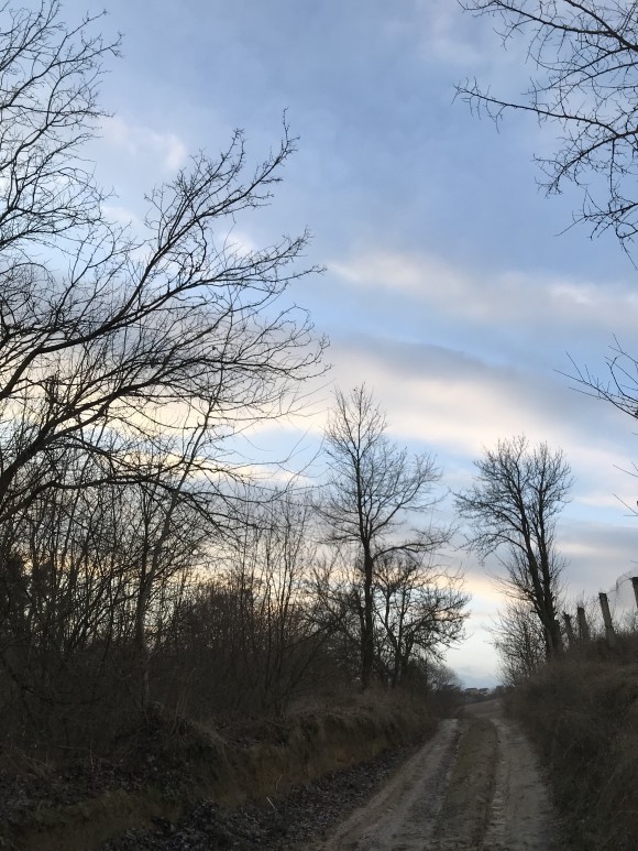 EF962822-A4C9-4553-AE71-0CC9C662740D