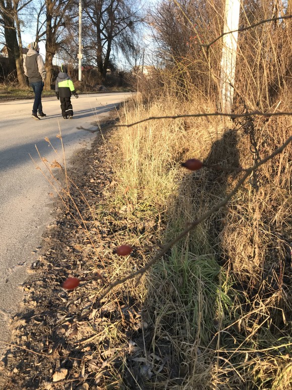 F5B186F1-0939-4596-B244-87B014FBFE28