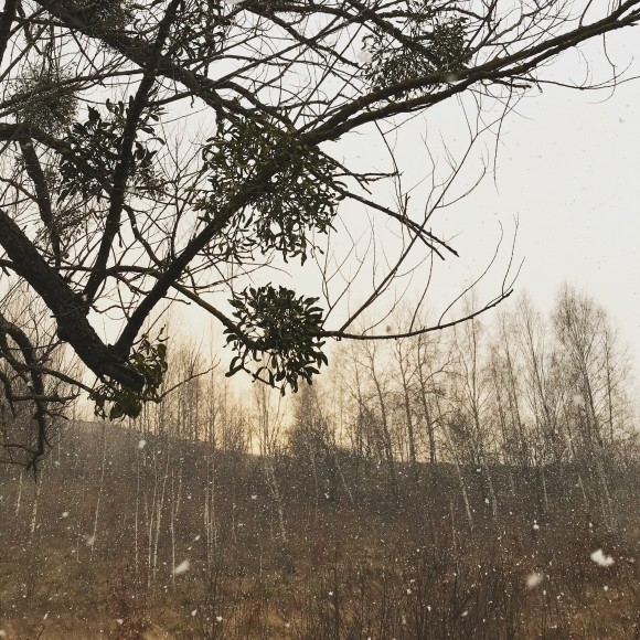 F9C7160D-545D-426A-92D2-92FC8C1FBDC3