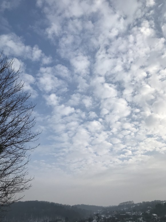 5540F7C1-A15F-40BE-B6A0-7125E957728A