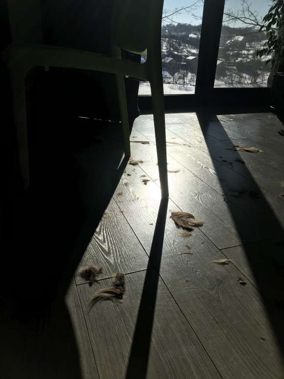 78AEAAF2-44FC-456A-A9C8-1271741DA0C7