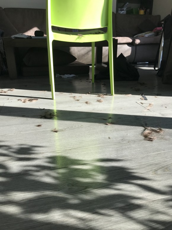 EA74A480-E570-4881-8C49-253F1E96EEDF