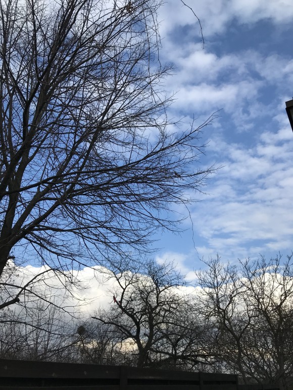 37FFBF58-E50C-4DA0-BF6C-9949B97B0209