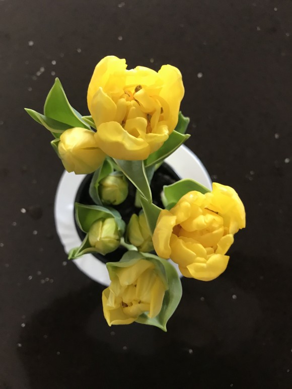 D2F8C923-FF81-4298-9BDF-E70D84F9D8D8