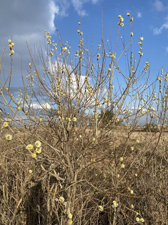 D775D95E-C59D-4257-9430-A38A9AF0FAE5