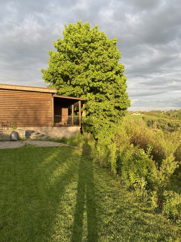 093D2C02-9910-4D82-841F-EB095CF1D57F