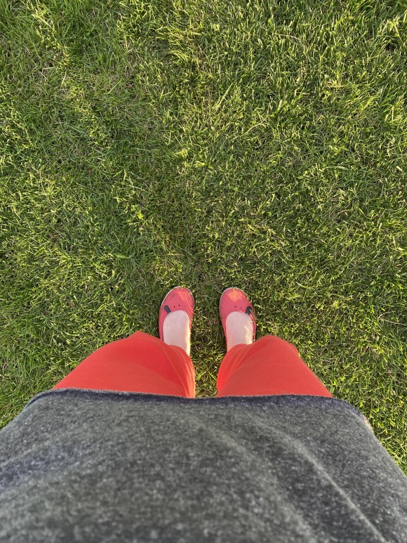 95C3D5CC-C328-41B9-A27D-A2D23F01E67B