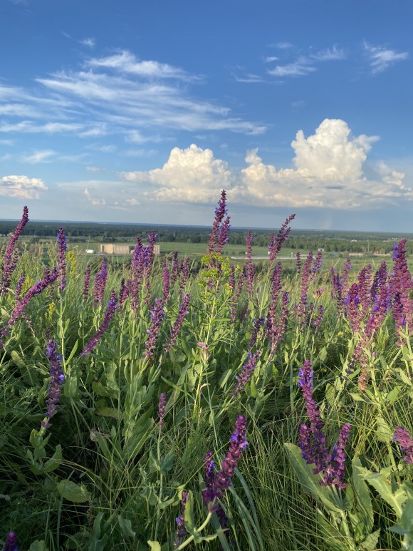 072672BB-20F5-4CF8-94EC-C080B387BF0A