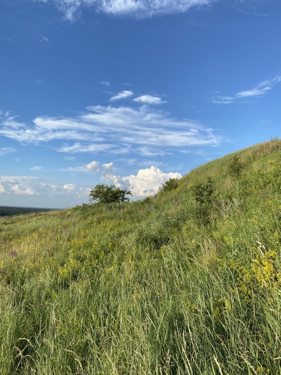 1537E3BC-43C6-4D27-9F90-7F2B74F3C7B2