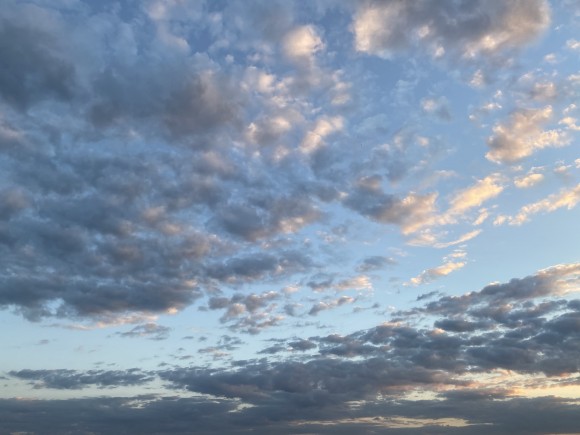 17966AFD-AB58-4DA1-9100-DCFF41438E97