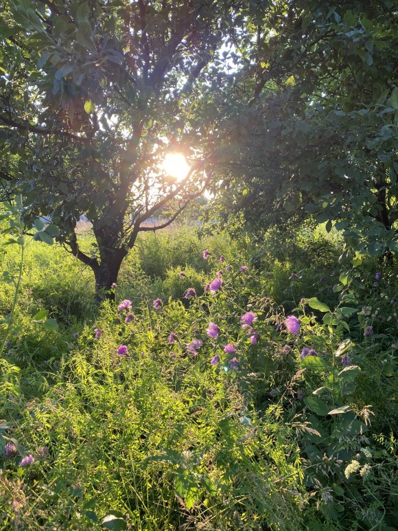 1EF61C1B-2E40-4BB0-A0DC-4F77C37DECAB