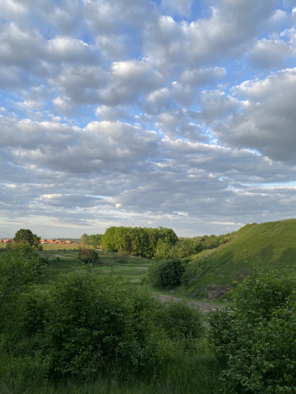 28A8C845-EC22-46C1-82CA-0EA3474BD7D5