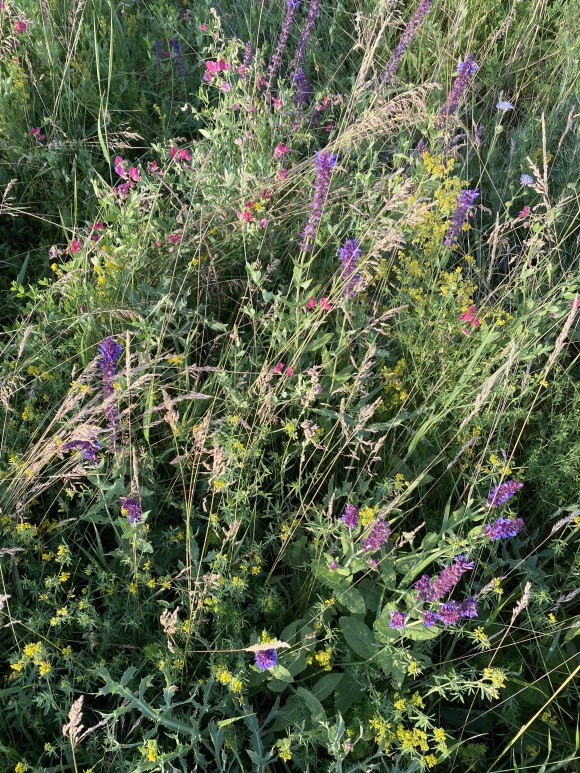 29CBA61C-1C87-4EBA-BA3C-58D6DD379ADA