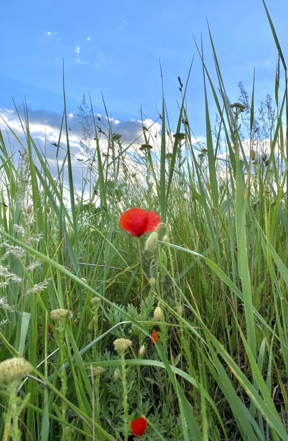 3328052D-E0DC-4E65-9072-D65DB4D9B6A4