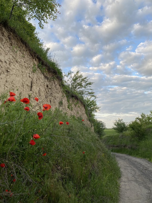 33927567-16A2-4261-AB0C-33F047A69C72