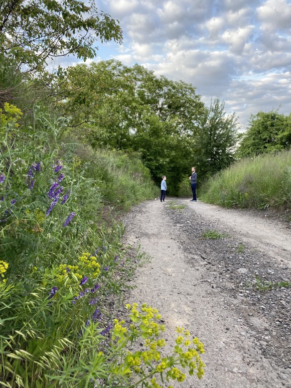 3D827C85-1279-4FBD-9A34-E463DD949A39