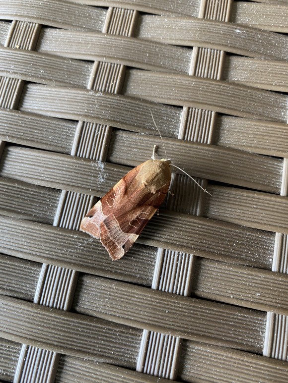 42320895-FC2F-4D2A-AC3D-32FE3EFA18D8