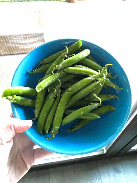 4ECF07A2-DCA4-44C5-9E85-6F2CD1B89784