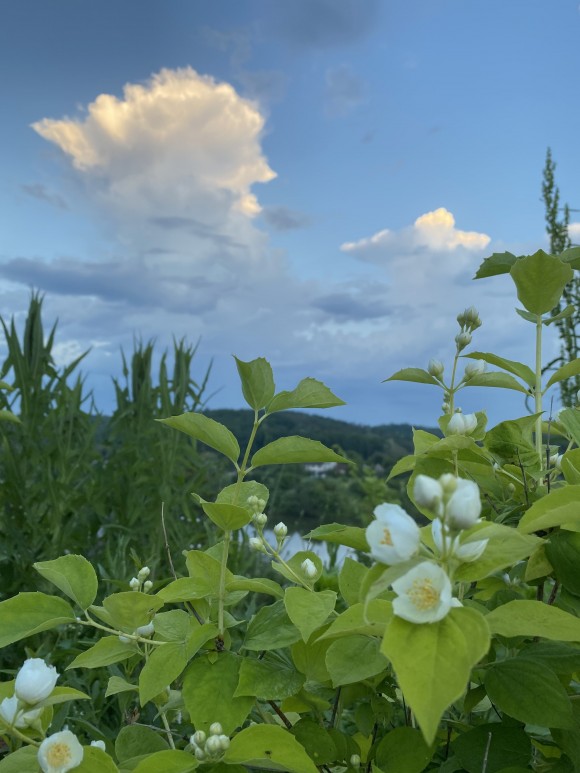 5DA5BA57-E2F9-4F8E-8C6D-27AE2A337893