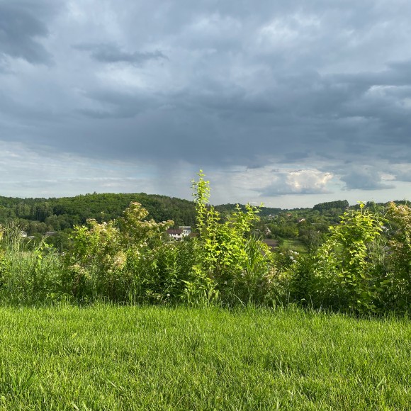 71391476-33D6-4FCD-A43F-4BC1CDA86452