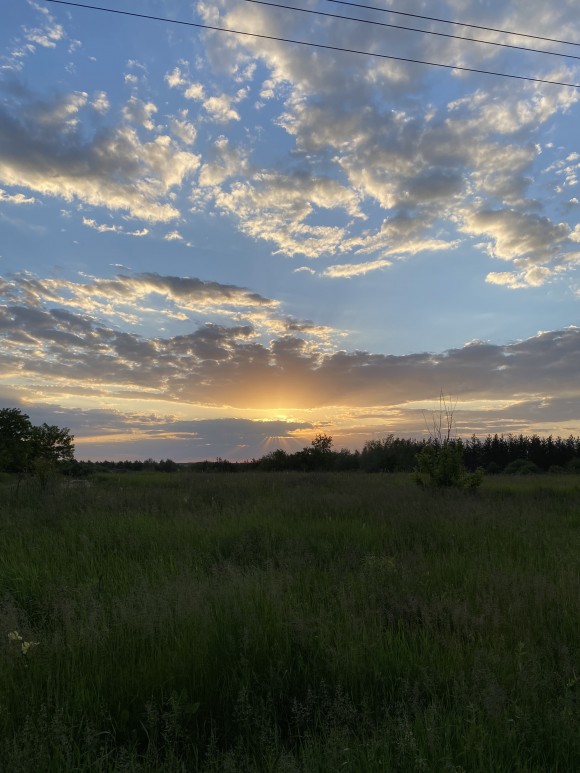 869578E8-E83A-48D1-8E3D-FF8E5D92CF22