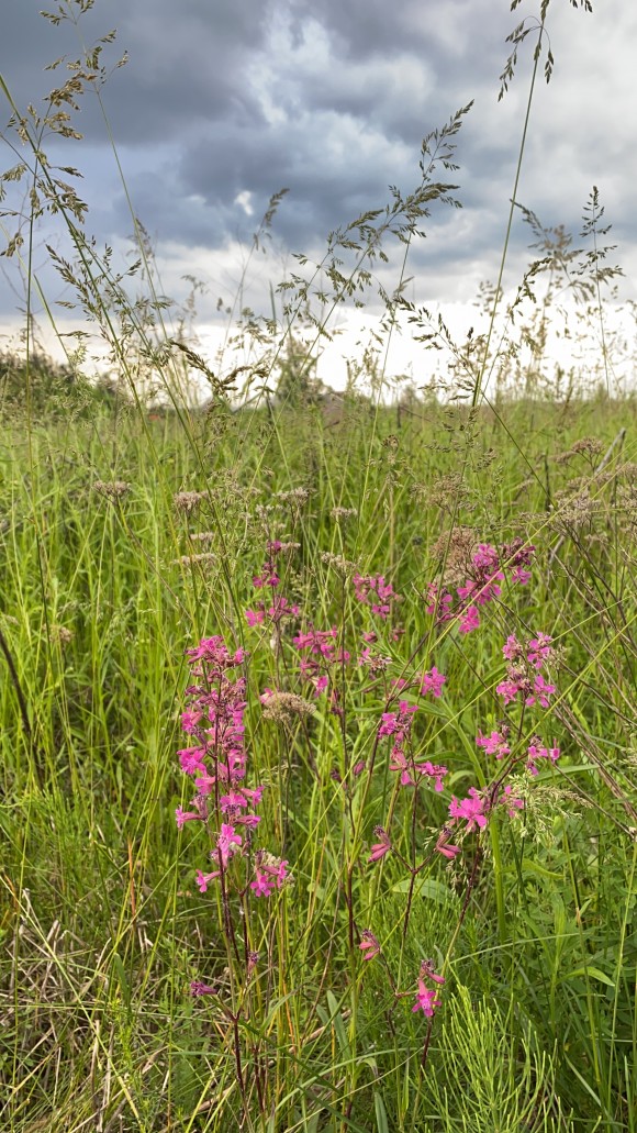 97B09C99-0B70-464B-9456-0B50D0B33A53