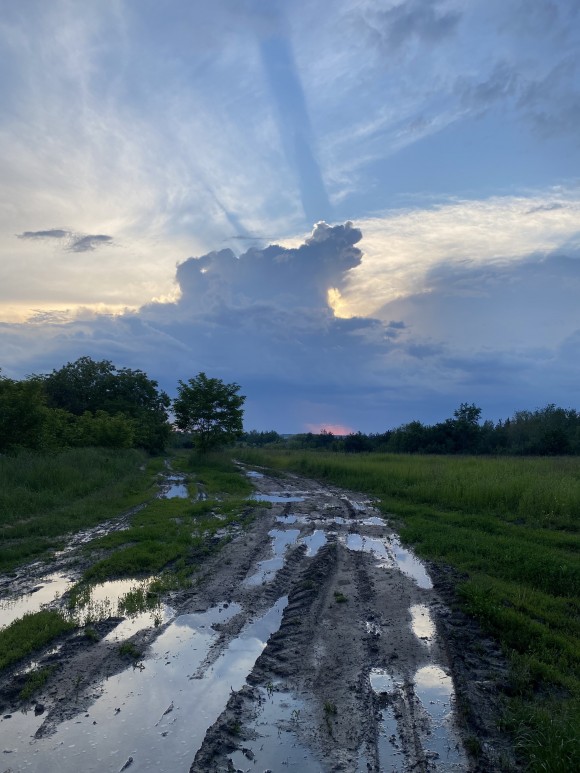 AED6DD1C-394E-4418-AC26-45C8CCEEE692